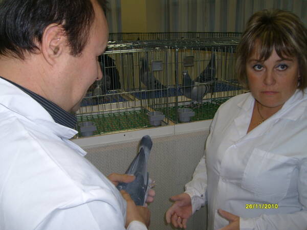 http://upforme.ru/uploads/0012/5a/ef/266/t919203.jpg