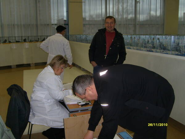http://upforme.ru/uploads/0012/5a/ef/266/t932263.jpg
