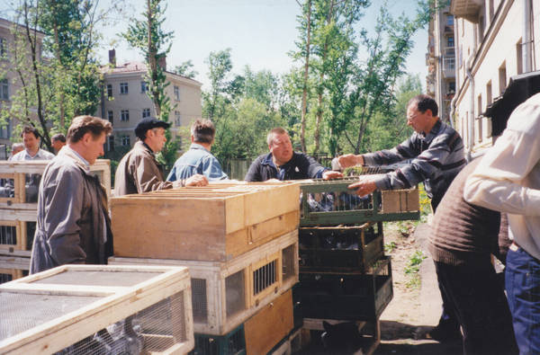 http://upforme.ru/uploads/0012/5a/ef/266/t93958.jpg