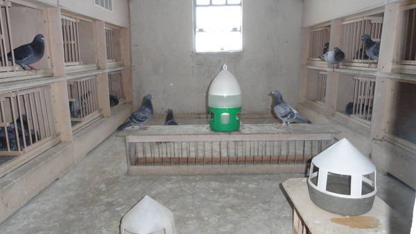http://upforme.ru/uploads/0012/5a/ef/277/t616561.jpg