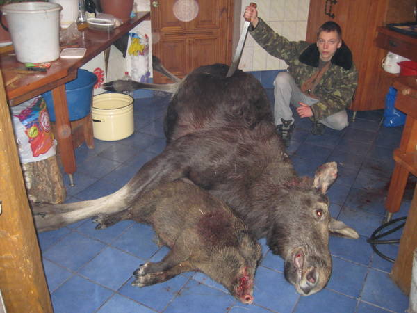 http://upforme.ru/uploads/0012/5a/ef/279/t125183.jpg