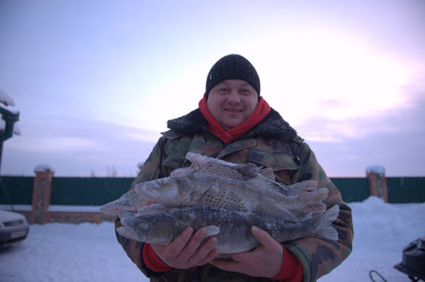 http://upforme.ru/uploads/0012/5a/ef/279/t21092.jpg