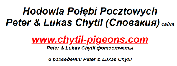 http://upforme.ru/uploads/0012/5a/ef/279/t744067.png