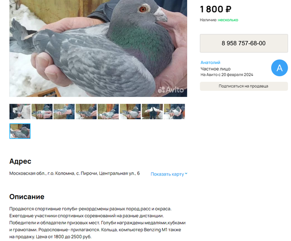 http://upforme.ru/uploads/0012/5a/ef/279/t821990.png