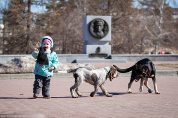 http://upforme.ru/uploads/0012/5d/99/143/t13286.jpg