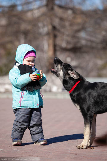 http://upforme.ru/uploads/0012/5d/99/143/t23411.jpg