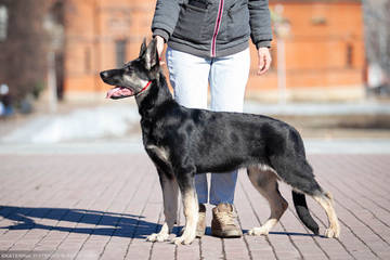http://upforme.ru/uploads/0012/5d/99/143/t23981.jpg