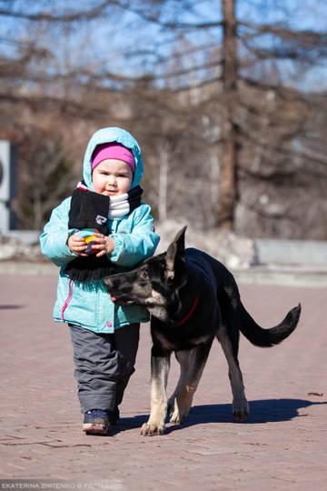 http://upforme.ru/uploads/0012/5d/99/143/t36056.jpg