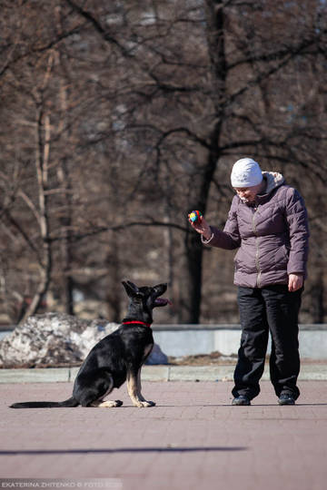 http://upforme.ru/uploads/0012/5d/99/143/t40749.jpg