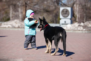 http://upforme.ru/uploads/0012/5d/99/143/t56314.jpg