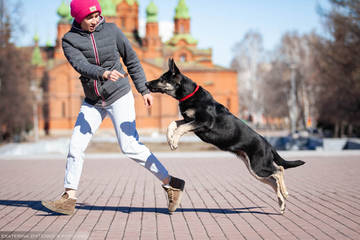 http://upforme.ru/uploads/0012/5d/99/143/t65484.jpg