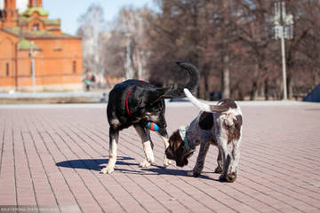 http://upforme.ru/uploads/0012/5d/99/143/t67757.jpg