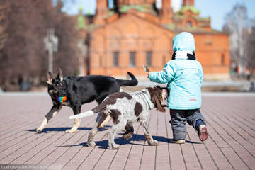 http://upforme.ru/uploads/0012/5d/99/143/t71491.jpg