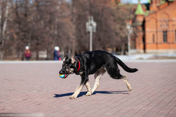 http://upforme.ru/uploads/0012/5d/99/143/t83574.jpg
