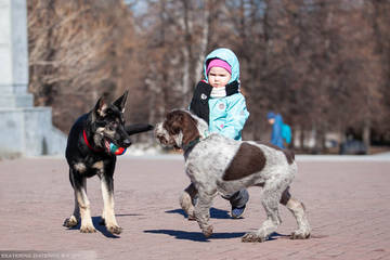 http://upforme.ru/uploads/0012/5d/99/143/t84400.jpg