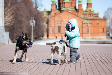 http://upforme.ru/uploads/0012/5d/99/143/t89999.jpg