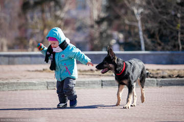 http://upforme.ru/uploads/0012/5d/99/143/t99890.jpg