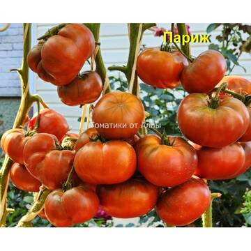 http://upforme.ru/uploads/0012/5d/99/3/t135514.jpg