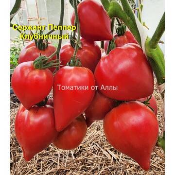 http://upforme.ru/uploads/0012/5d/99/3/t137457.jpg