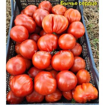 http://upforme.ru/uploads/0012/5d/99/3/t151119.jpg