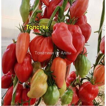 http://upforme.ru/uploads/0012/5d/99/3/t290513.jpg