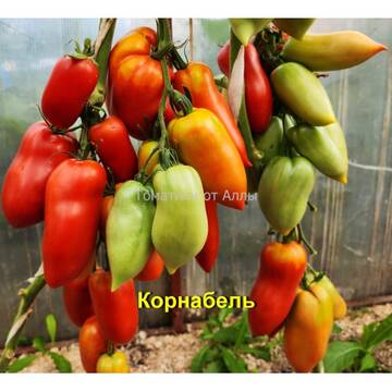 http://upforme.ru/uploads/0012/5d/99/3/t345190.jpg