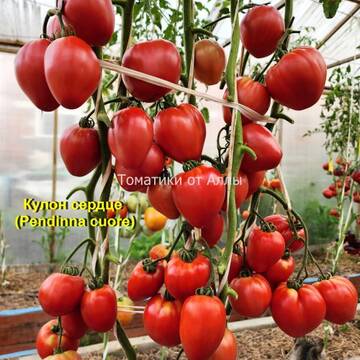http://upforme.ru/uploads/0012/5d/99/3/t632008.jpg