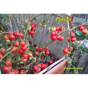http://upforme.ru/uploads/0012/5d/99/3/t635010.jpg