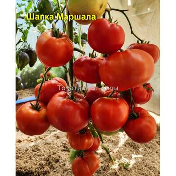 http://upforme.ru/uploads/0012/5d/99/3/t653122.jpg