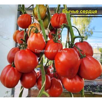 http://upforme.ru/uploads/0012/5d/99/3/t801913.jpg