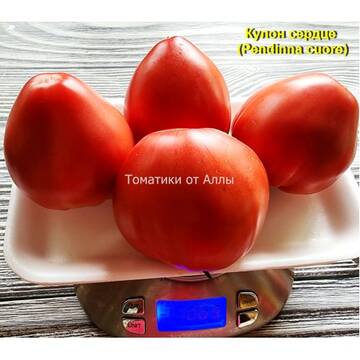 http://upforme.ru/uploads/0012/5d/99/3/t900063.jpg