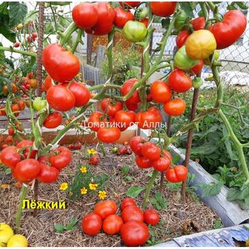 http://upforme.ru/uploads/0012/5d/99/3/t93601.jpg