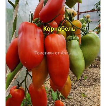 http://upforme.ru/uploads/0012/5d/99/3/t970847.jpg