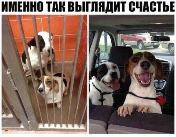 http://upforme.ru/uploads/0012/6e/7d/1844/104370.jpg