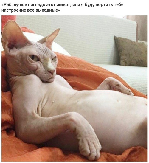 http://upforme.ru/uploads/0012/6e/7d/1844/135110.jpg