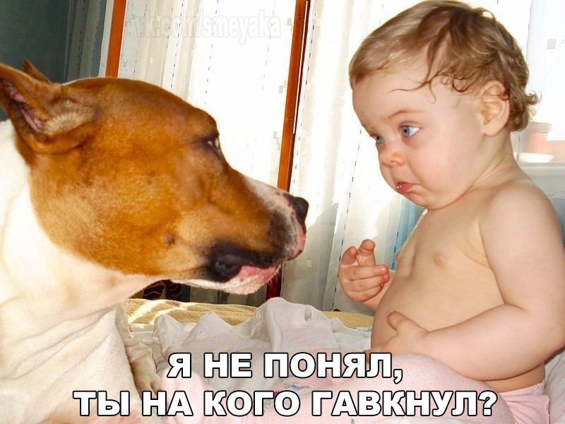 http://upforme.ru/uploads/0012/6e/7d/1844/136864.jpg