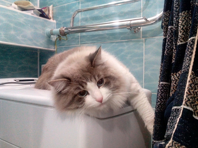 http://upforme.ru/uploads/0012/6e/7d/1844/13747.jpg