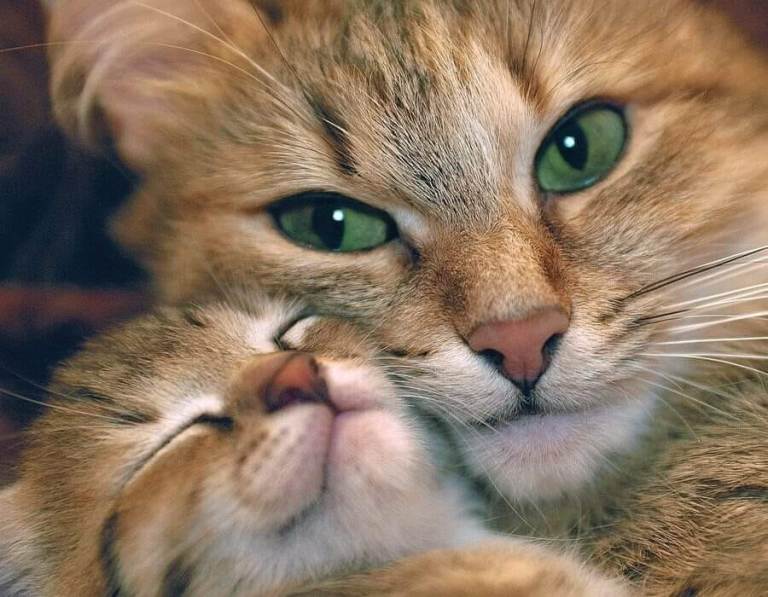 http://upforme.ru/uploads/0012/6e/7d/1844/142120.jpg