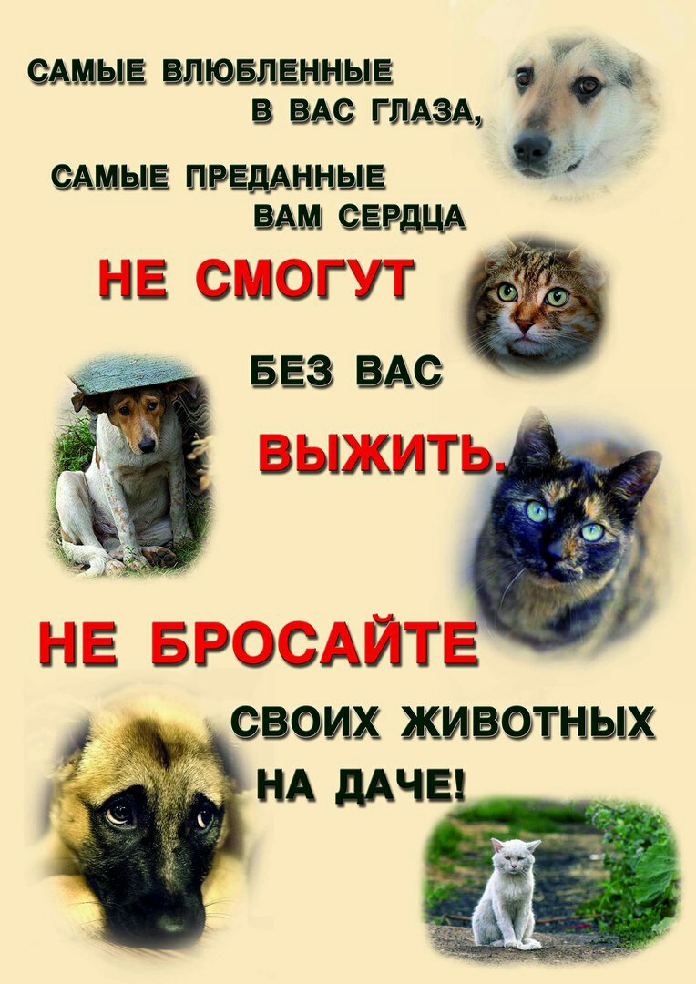http://upforme.ru/uploads/0012/6e/7d/1844/147481.jpg