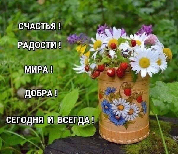 http://upforme.ru/uploads/0012/6e/7d/1844/150804.jpg