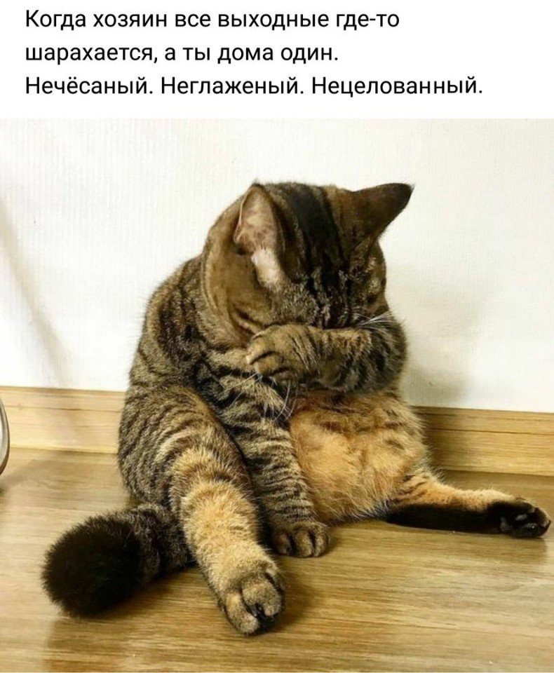 http://upforme.ru/uploads/0012/6e/7d/1844/17429.jpg