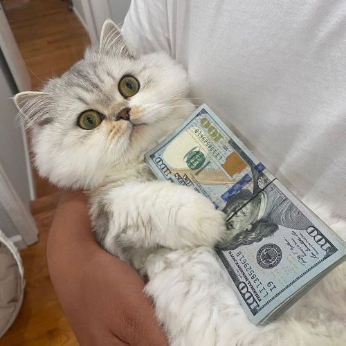 http://upforme.ru/uploads/0012/6e/7d/1844/195012.jpg