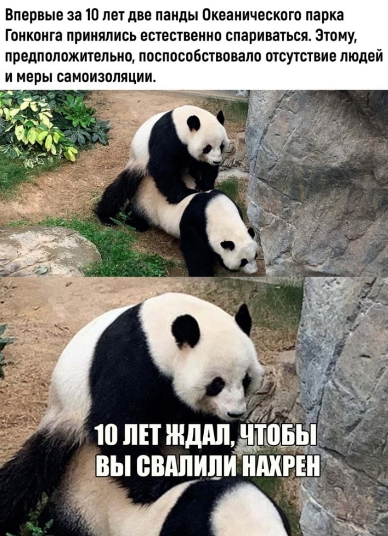 http://upforme.ru/uploads/0012/6e/7d/1844/20398.jpg