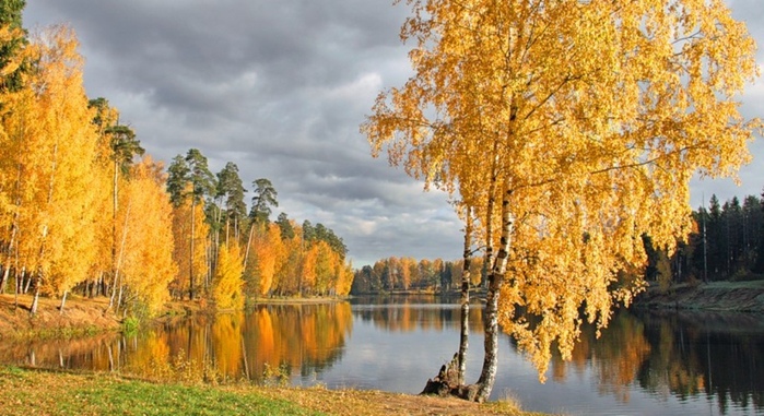 http://upforme.ru/uploads/0012/6e/7d/1844/208621.jpg