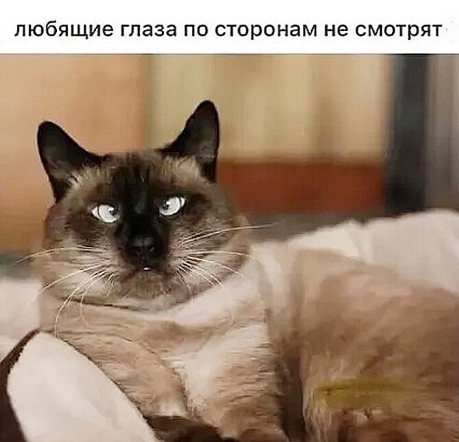 http://upforme.ru/uploads/0012/6e/7d/1844/221613.jpg