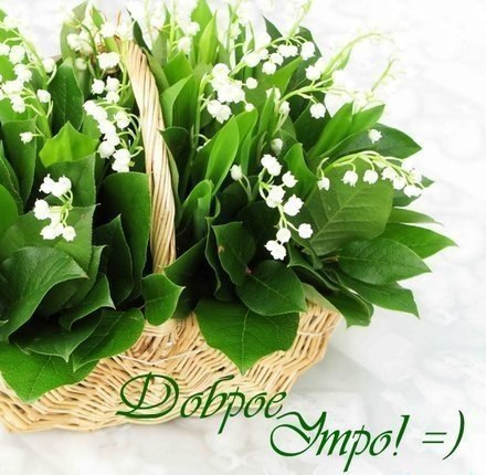 http://upforme.ru/uploads/0012/6e/7d/1844/225638.jpg