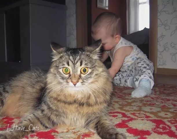 http://upforme.ru/uploads/0012/6e/7d/1844/250180.jpg