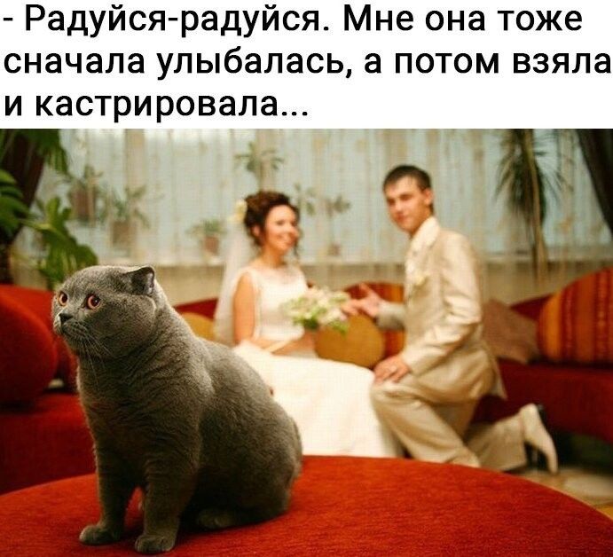 http://upforme.ru/uploads/0012/6e/7d/1844/304845.jpg