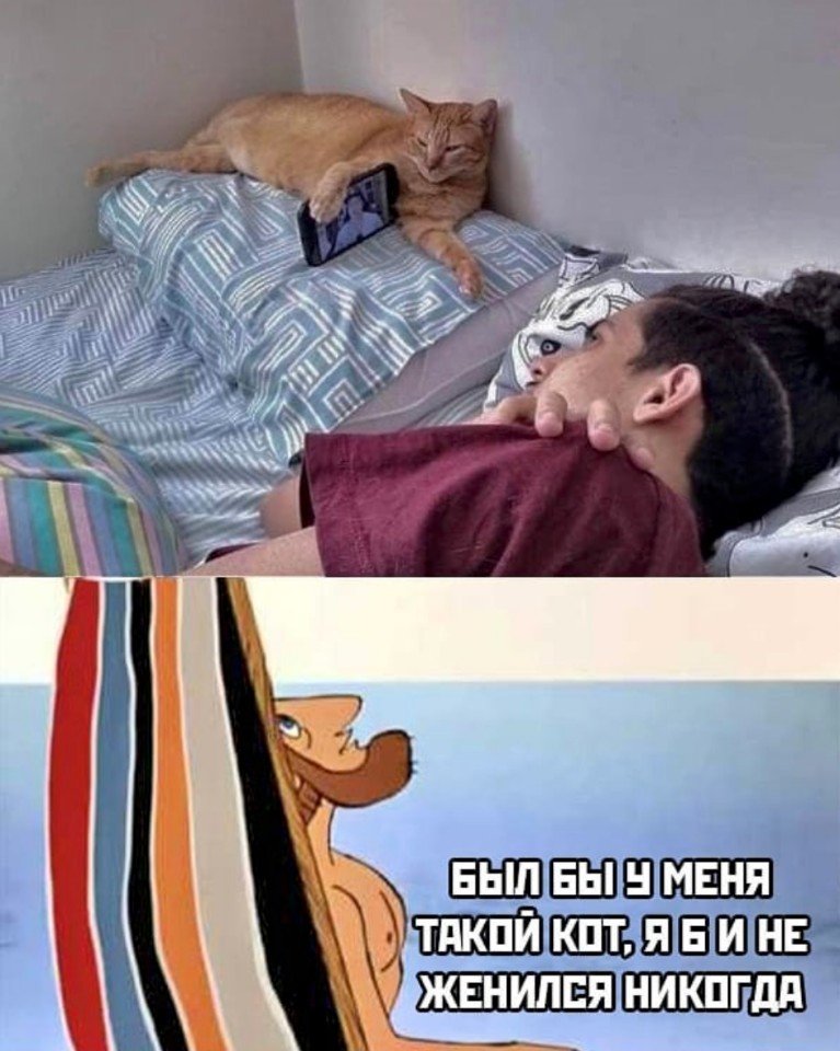 http://upforme.ru/uploads/0012/6e/7d/1844/308914.jpg