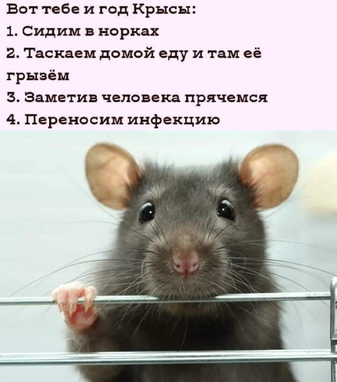 http://upforme.ru/uploads/0012/6e/7d/1844/311268.jpg